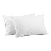 Thumbnail for Giselle Bedding Duck Feather Down Pillow Twin Pack