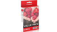 Thumbnail for CANON CLI681 Value Pack