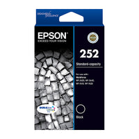 Thumbnail for EPSON 252 Black Ink Cartridge