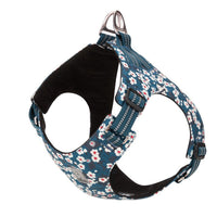 Thumbnail for Floral Doggy Harness Saxony Blue 2XS