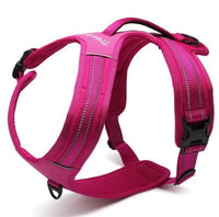 Thumbnail for Reflective Heavy Duty Harness Pink XS