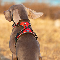 Thumbnail for No Pull Harness Red XS