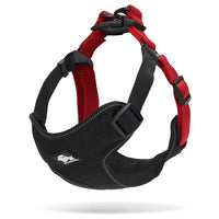 Thumbnail for Urban Harness Black/Red M