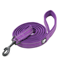 Thumbnail for Reflective Pet Leash 2 meters Purple L