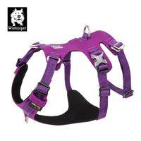 Thumbnail for Whinhyepet Harness Purple M