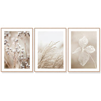 Thumbnail for Wall Art 40cmx60cm Dried Flower 3 Sets Wood Frame Canvas