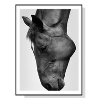 Thumbnail for Wall Art 50cmx70cm Modern Black Horse Black Frame Canvas