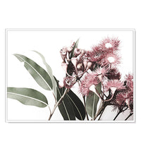 Thumbnail for Wall Art 50cmx70cm Eucalyptus in Bloom White Frame Canvas