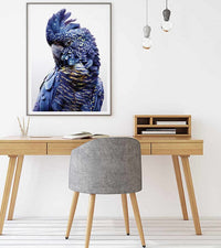 Thumbnail for Wall Art 50cmx70cm Black Cockatoo A Black Frame Canvas