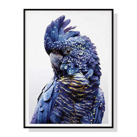 Thumbnail for Wall Art 70cmx100cm Black Cockatoo A Black Frame Canvas