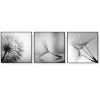 Thumbnail for 50cmx50cm Botanical dandelions 3 Sets Black Frame Canvas Wall Art