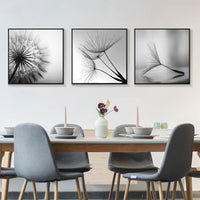 Thumbnail for 50cmx50cm Botanical dandelions 3 Sets Black Frame Canvas Wall Art