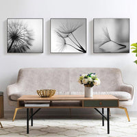 Thumbnail for 50cmx50cm Botanical dandelions 3 Sets Black Frame Canvas Wall Art