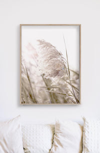 Thumbnail for 40cmx60cm Pampas Grass 2 Sets Wood Frame Canvas Wall Art