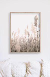 Thumbnail for 40cmx60cm Pampas Grass 2 Sets Wood Frame Canvas Wall Art