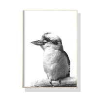 Thumbnail for Wall Art 70cmx100cm Kookaburra Black Frame Canvas