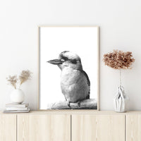 Thumbnail for Wall Art 70cmx100cm Kookaburra Black Frame Canvas