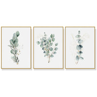 Thumbnail for Wall Art 60cmx90cm Eucalyptus Plant 3 Sets Gold Frame Canvas
