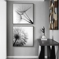 Thumbnail for Wall Art 100cmx100cm Black and white dandelion 2 Sets Black Frame Canvas