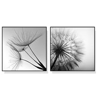Thumbnail for Wall Art 50cmx50cm Black and white dandelion 2 Sets Black Frame Canvas