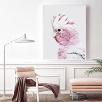 Thumbnail for Wall Art 40cmx60cm Pink Galah White Frame Canvas