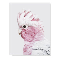 Thumbnail for Wall Art 70cmx100cm Pink Galah White Frame Canvas