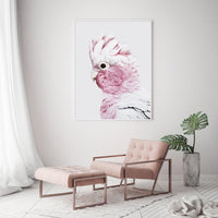 Thumbnail for Wall Art 70cmx100cm Pink Galah White Frame Canvas