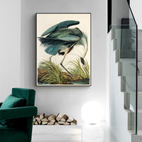 Thumbnail for Wall Art 90cmx135cm Great Blue Heron By John James Audubon Black Frame Canvas