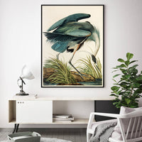 Thumbnail for Wall Art 90cmx135cm Great Blue Heron By John James Audubon Black Frame Canvas