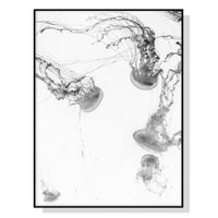 Thumbnail for Wall Art 40cmx60cm Jellyfish Black Frame Canvas