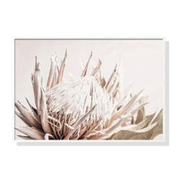 Thumbnail for Wall Art 50cmx70cm Pure Protea II White Frame Canvas