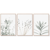 Thumbnail for Wall Art 70cmx100cm Lavender Eucalyptus 3 Sets Wood Frame Canvas