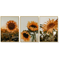 Thumbnail for Wall Art 70cmx100cm Sunflower 3 Sets Gold Frame Canvas