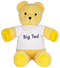Thumbnail for Play School - Big Ted Plush