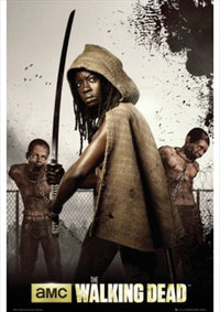 Thumbnail for The Walking Dead Michonne Poster