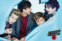 Thumbnail for 5 Seconds of Summer- Rip Poster