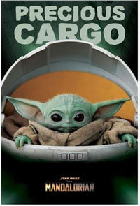 Thumbnail for Star Wars: The Mandalorian - Precious Cargo