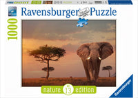 Thumbnail for Ravensburger - Elephant of the Massai Mara 1000pc