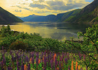 Thumbnail for Fjord In Norway Puzzle 1000 Piece Puzzle
