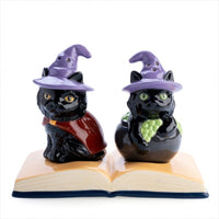 Thumbnail for Black Cat Salt Pepper Set