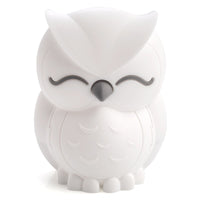 Thumbnail for Lil Dreamers Owl Soft Touch LED Light