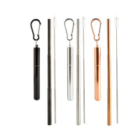 Thumbnail for Extendable Straw And Brush Kit  (SENT AT RANDOM)