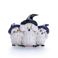 Thumbnail for 3 Wise Snowy Owls