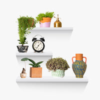 Thumbnail for Ekkio Floating Shelf Set of 3 White