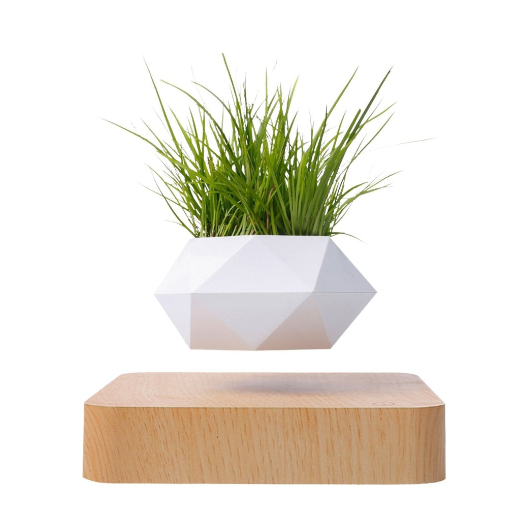 GOMINIMO Magnetic Levitating Plant Pot (Light Brown Base)