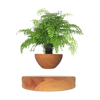 Thumbnail for GOMINIMO Magnetic Levitating Plant Pot Oak