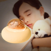 Thumbnail for GOMIINIMO Pet Spaceship Night Lamp Touch