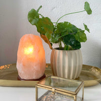 Thumbnail for 12V 12W 1-2 Kgs Himalayan Pink Salt Lamp Natural Rock Crystal Light Bulb On/Off