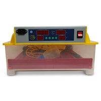 Thumbnail for Electric 60 Egg Incubator + Accessories Hatching Eggs Chicken Quail Duck