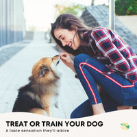 Thumbnail for 2Kg Dog Treat Beef Jerky - Dehydrated Australian Healthy Puppy Chew